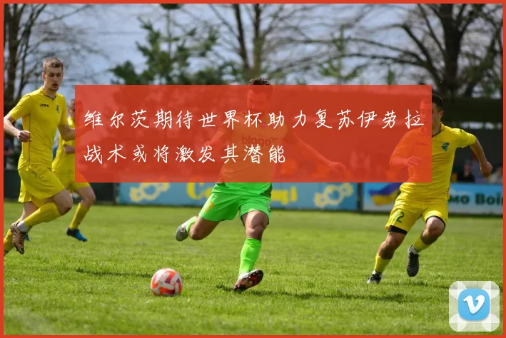 维尔茨期待世界杯助力复苏伊劳拉战术或将激发其潜能