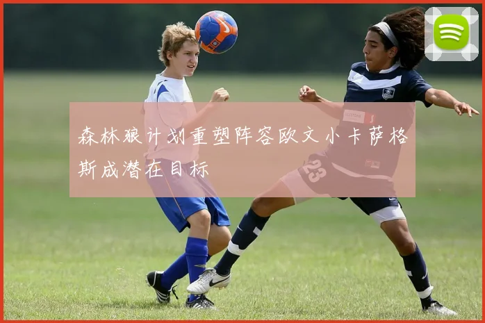 森林狼计划重塑阵容欧文小卡萨格斯成潜在目标